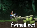 Orman Motoru