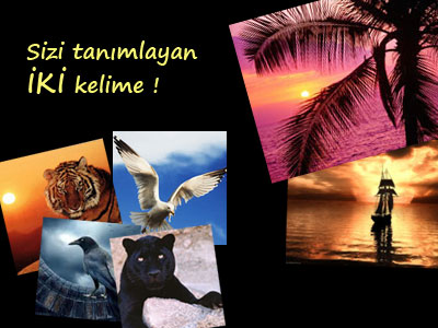 Kişilik Testi 2 Testi